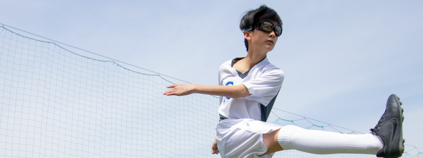 SWANSアイガード
